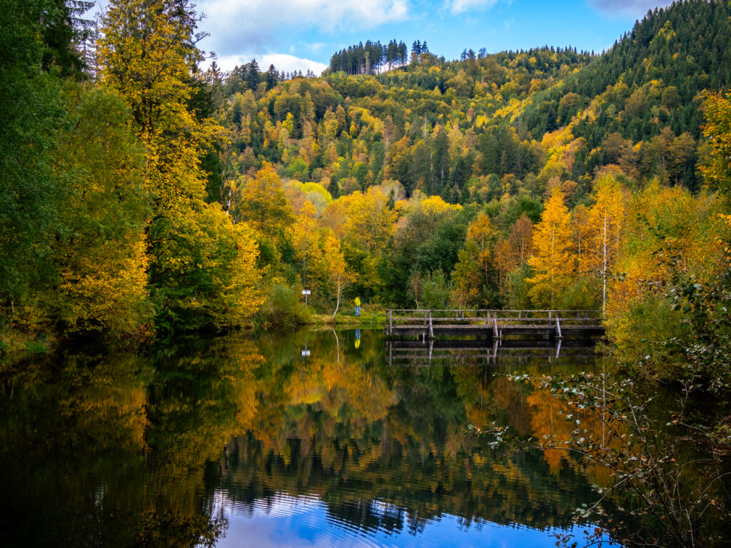 Petit lac le long du sentier U(h)rwaldpfad