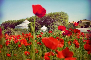 À la rencontre de vos auteurs préférés sous Le Chapiteau du livre.
