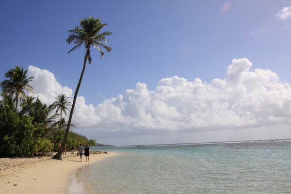 Plage De Bois Jolan Site Naturel à Découvrir Sainte Anne