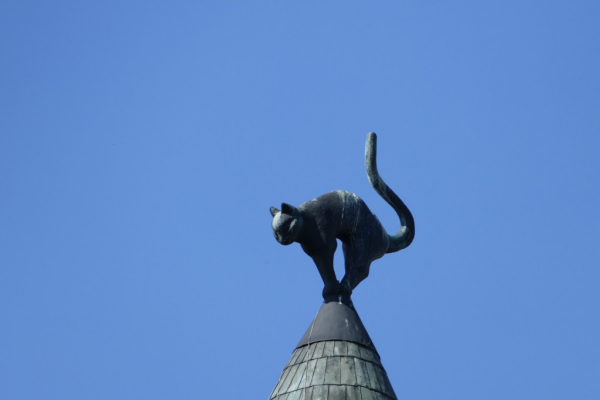 Maison Du Chat Noir Kaķu Nams Monuments à Visiter Rīga