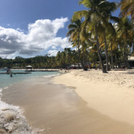 Plage De La Caravelle Site Naturel à Découvrir Sainte