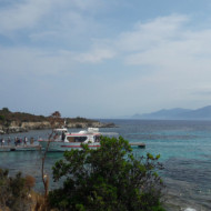 Le Popeye Visites Et Activités Sur Leau Saint Florent