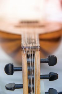 Le târ, instrument à cordes iranien.