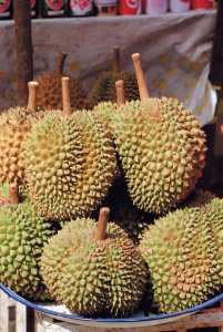 Le durian se mange avec du jus de coco et ses graines peuvent être grillées.