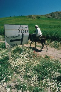 Paysan à dos d'âne