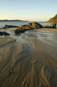 Plage à marée basse