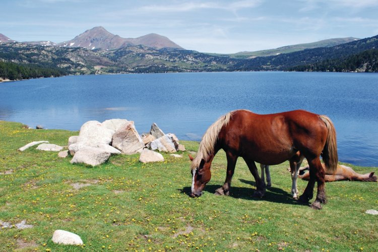 Pyrénées-Orientales, guide touristique des Pyrénées ...