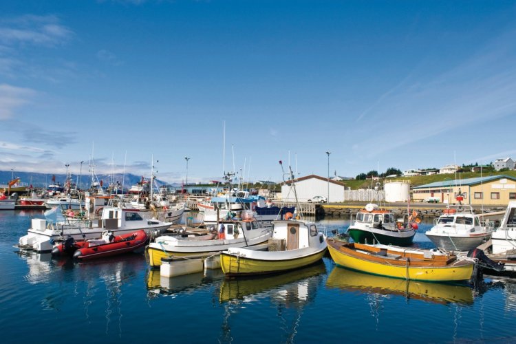 Visit Husavik Iceland Travel Guide Of Husavik Petit Fute