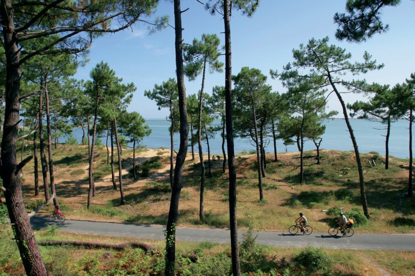 Cyclotouristes - Ile de Ré