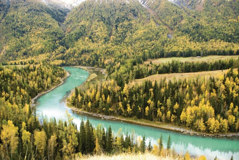 Réserve naturelle du lac Kanas, massif de l'Altaï.