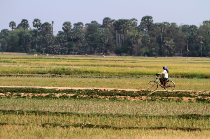 Les véhicules à deux roues sont prisés dans la campagne cambodgienne.