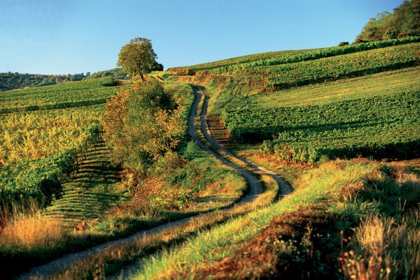 Paysage