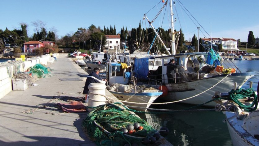 <p>Port de pêche de Pineta.</p>