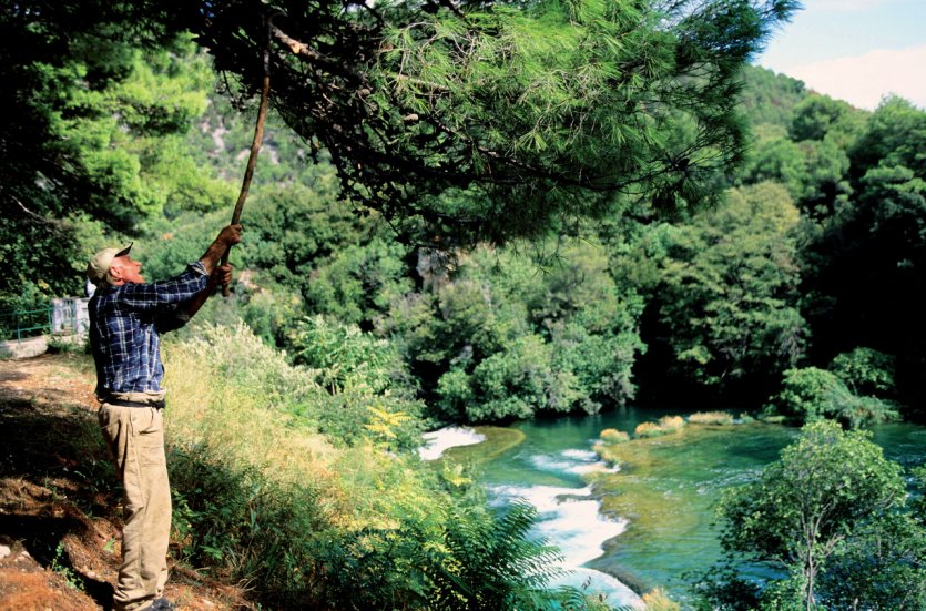Parc national de Krka.