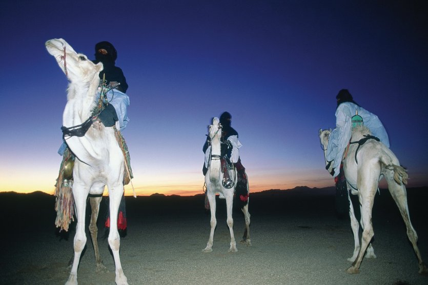 Caravane touareg