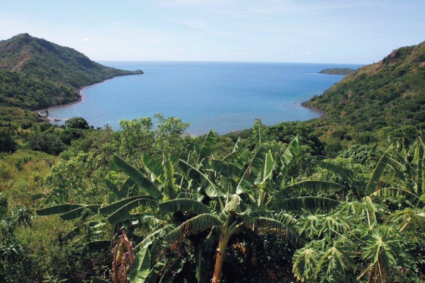 Baie de Parouhani-Titi.
