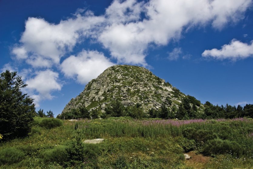 Le Mont Gerbier de Jonc