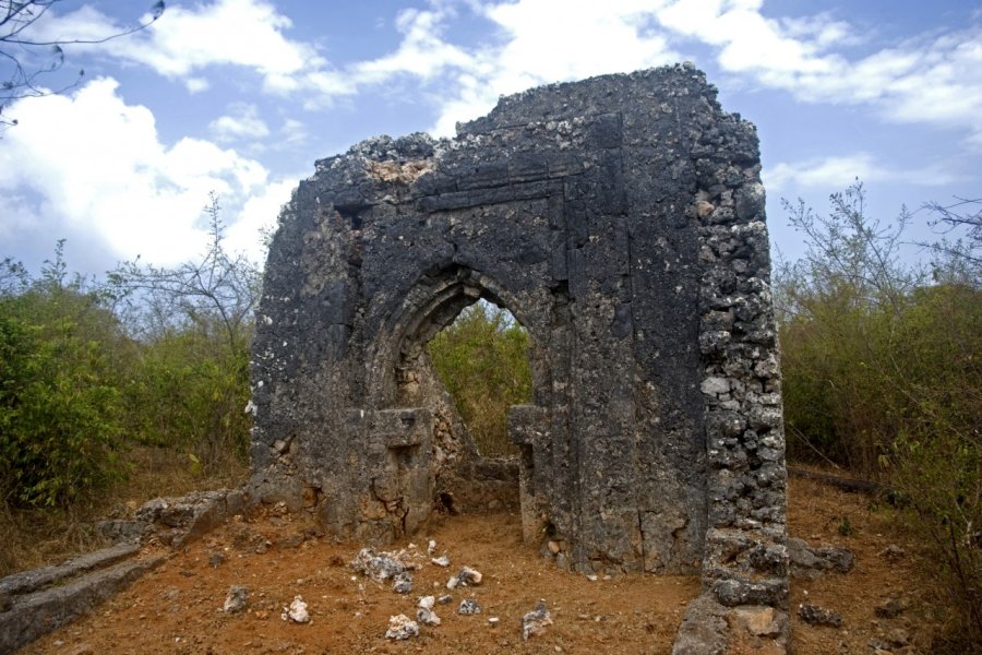 Les vestiges d'une mosquée à Tumbatu. nyiragongo