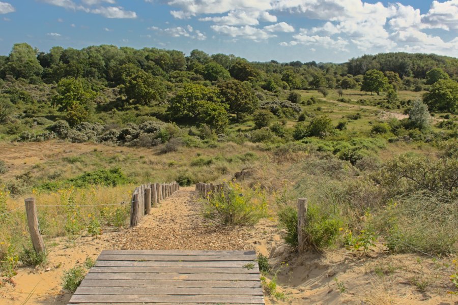RÉSERVE NATURELLE DU WESTHOEK