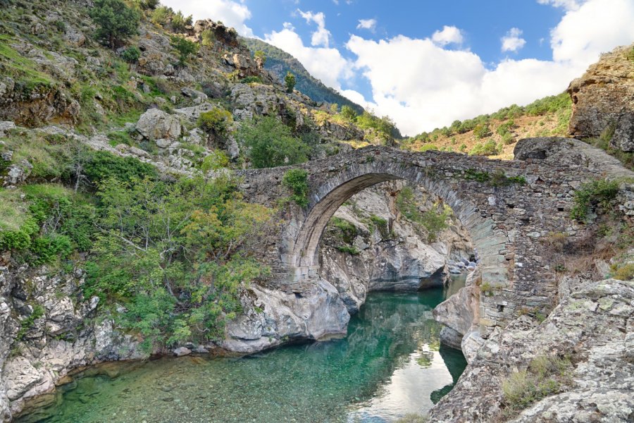 LE PONT GENOIS