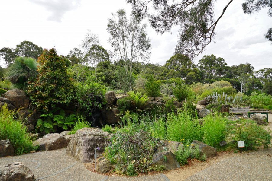 AUSTRALIAN NATIONAL BOTANIC GARDENS