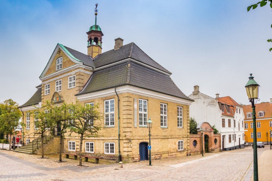 MUSÉE SKOVGAARD (SKOVGAARD MUSEET)
