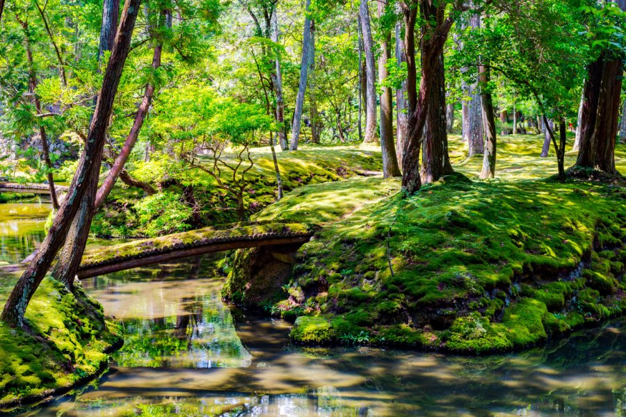 JARDIN SAIHO-JI
