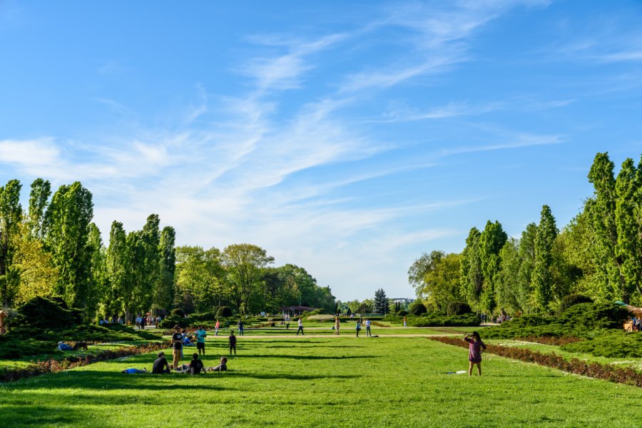 PARC REGELE MIHAI I