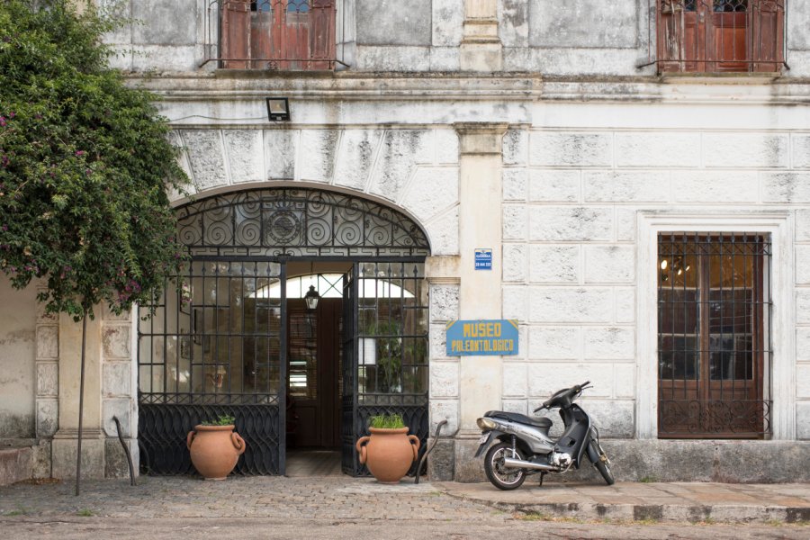 MUSEO PALEONTOLÓGICO ALEJANDRO BERRO