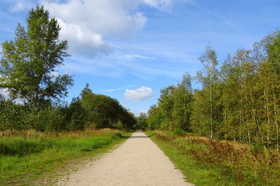 PARC NATIONAL DE LA HAUTE-CAMPINE