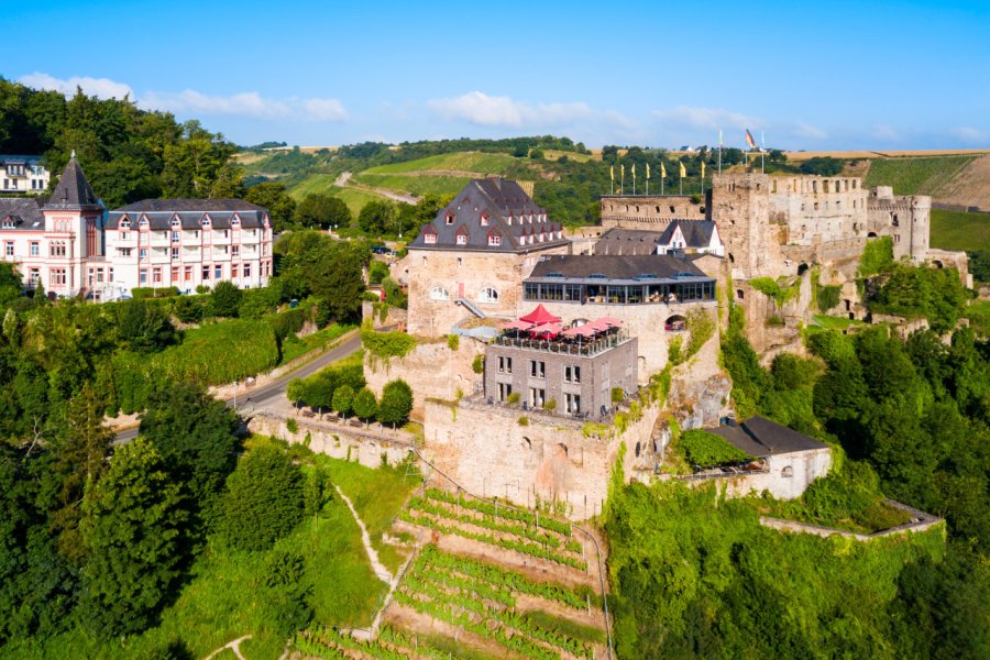 CHÂTEAU DE RHEINFELS