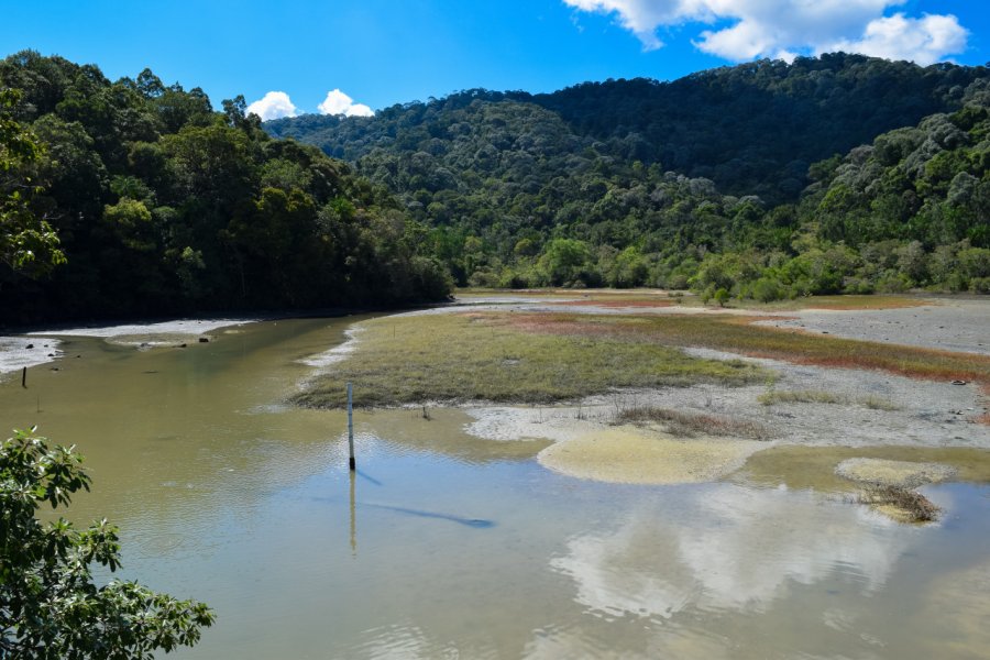 PENANG NATIONAL PARK
