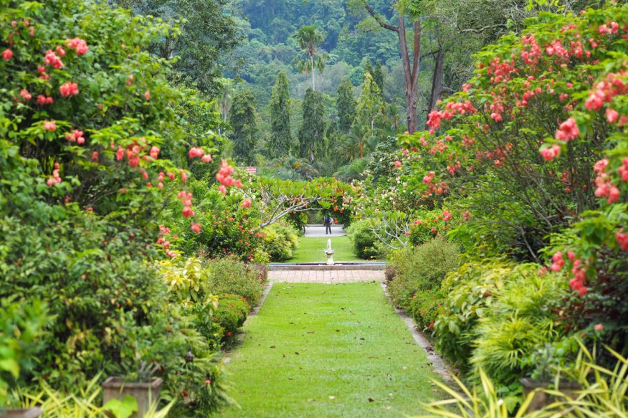PENANG BOTANIC GARDENS