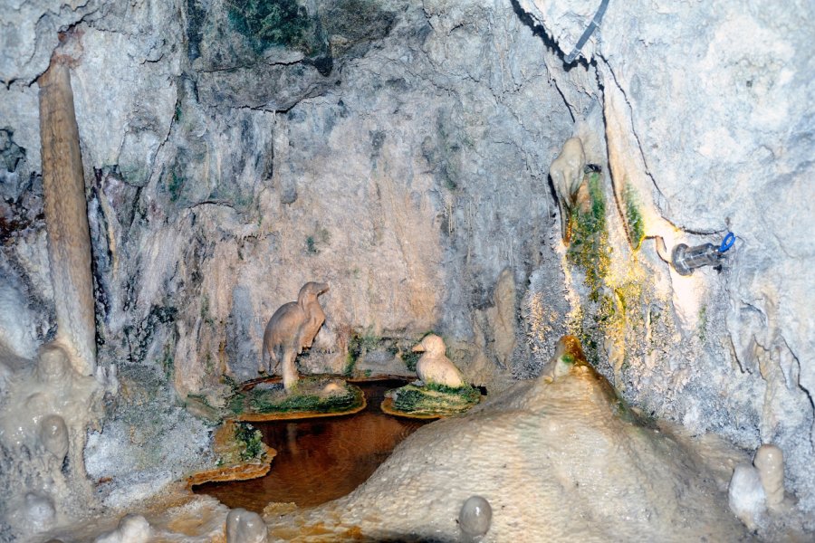 FONTAINES PÉTRIFIANTES