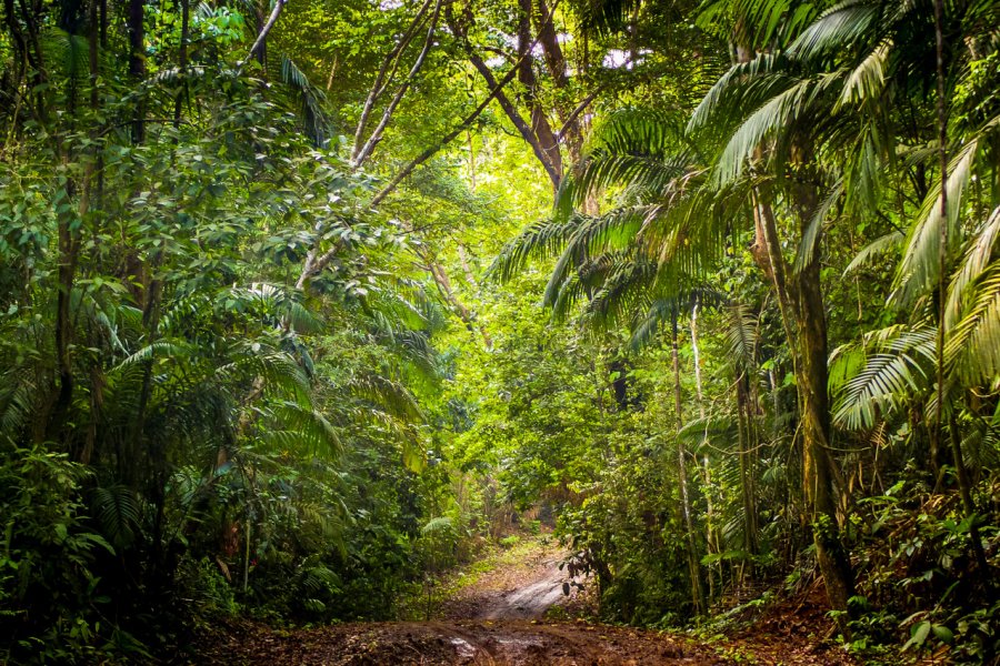PARQUE NATURAL METROPOLITANO