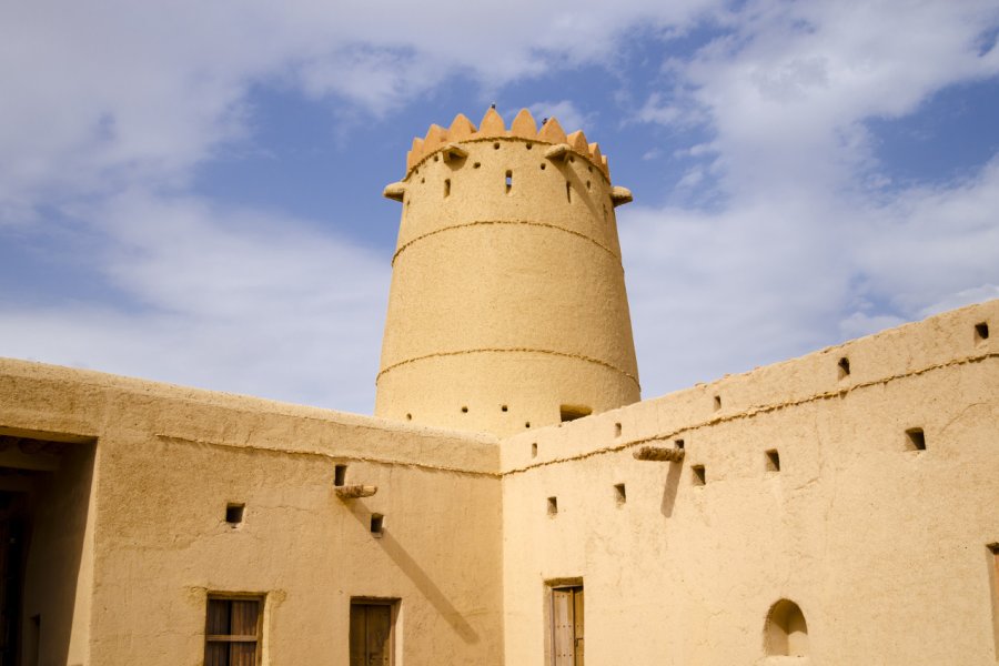 FORT MEZYAD