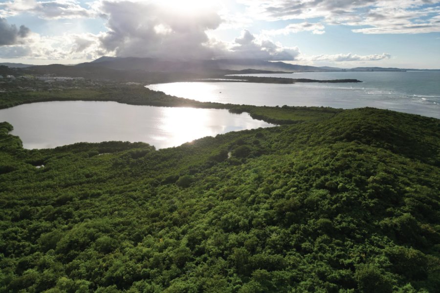 BAIE BIOLUMINESCENTE LAGUNA GRANDE