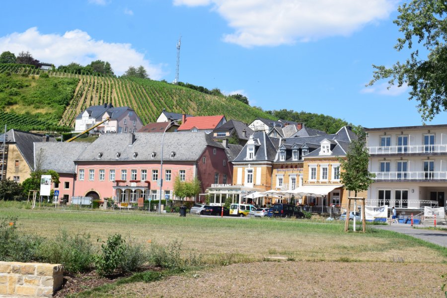 MUSEE DU VIN