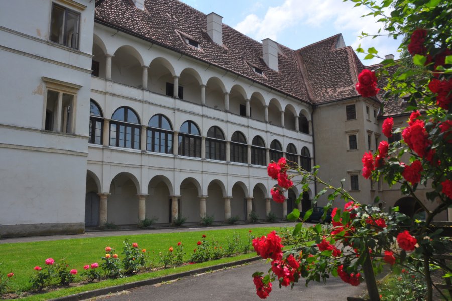CHÂTEAU DE SEGGAU (SCHLOSS SEGGAU)