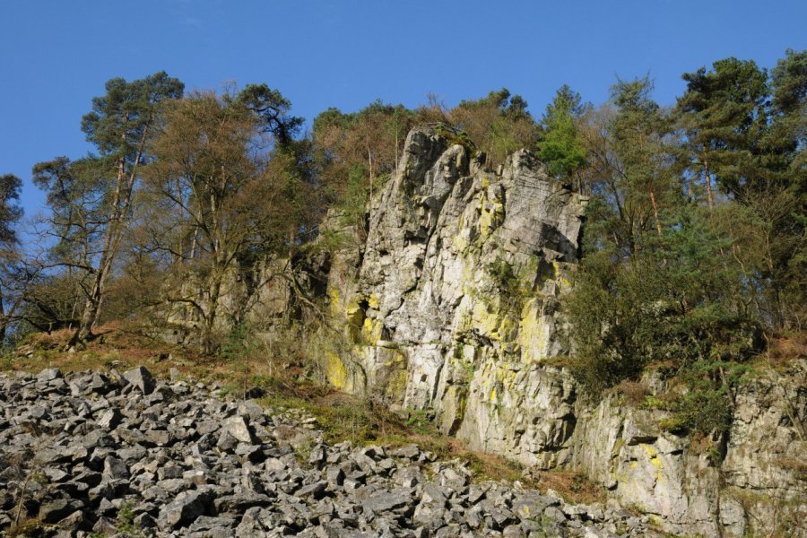 ROC AU CHIEN