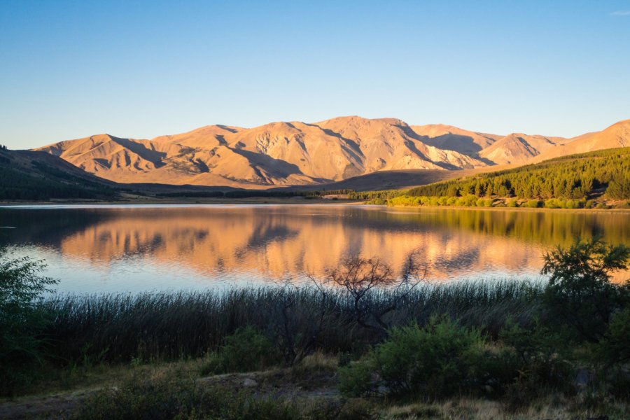 LAGUNA LA ZETA