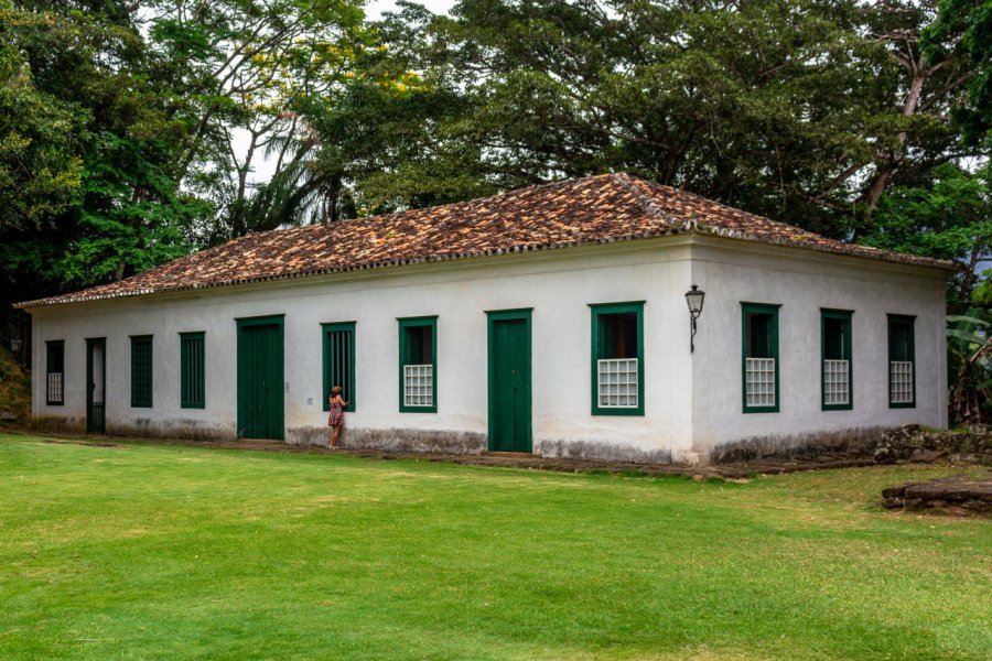 FORTE DEFENSOR PERPÉTUO