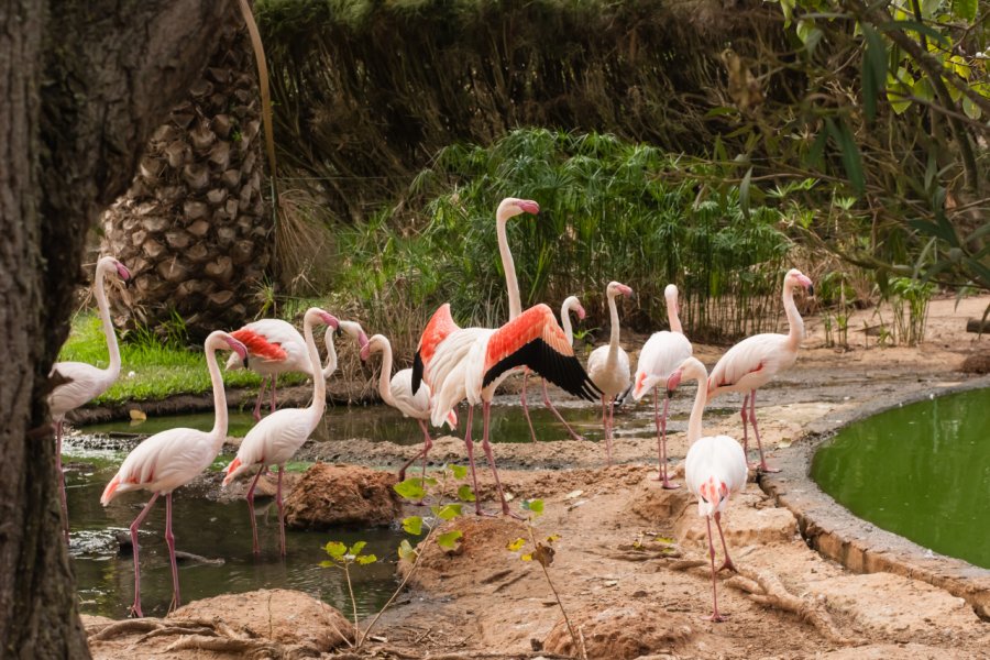 PARQUE ZOOLOGICO DE LAGOS