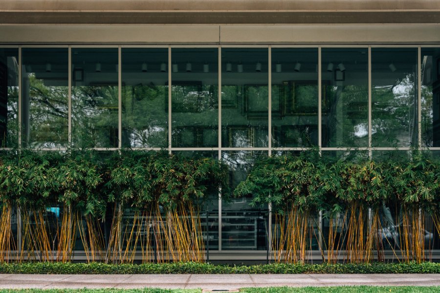 THE MENIL COLLECTION