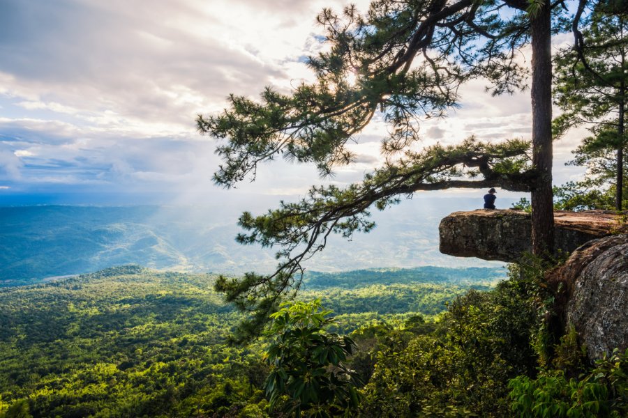 PHU KRADUENG NATIONAL PARK