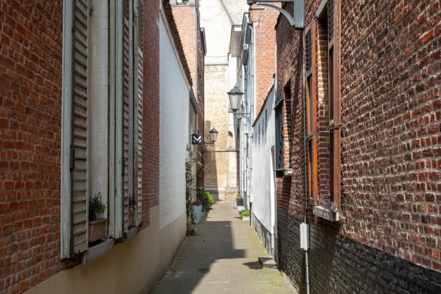 BÉGUINAGE D'ANVERS (ANTWERPEN BEGIJNHOF)