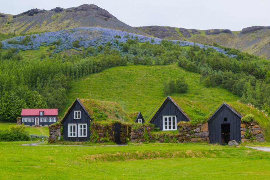 MUSÉE FOLKLORIQUE (BYGGÐASAFNIÐ IN SKÓGAR)