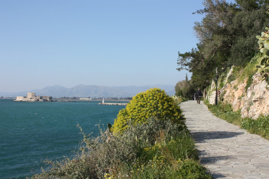PROMENADE D'ARVANITIA