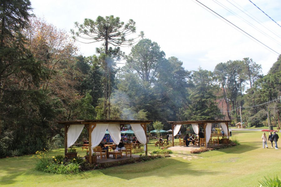HORTO FLORESTAL