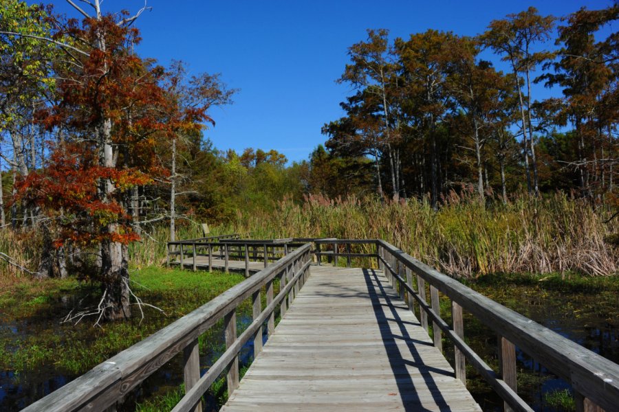BLACK BAYOU LAKE NATIONAL WILDLIFE REFUGE